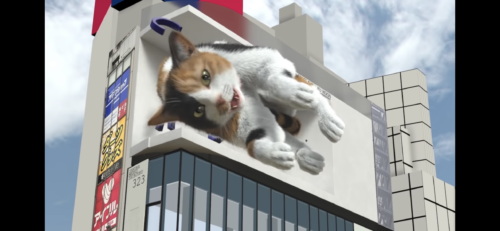 クロス新宿ビジョン　猫